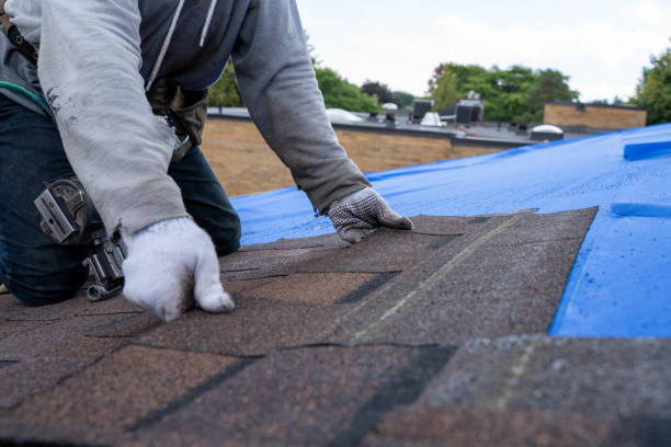 Best Residential Roofing Contractor  in Nyon Lake, CA