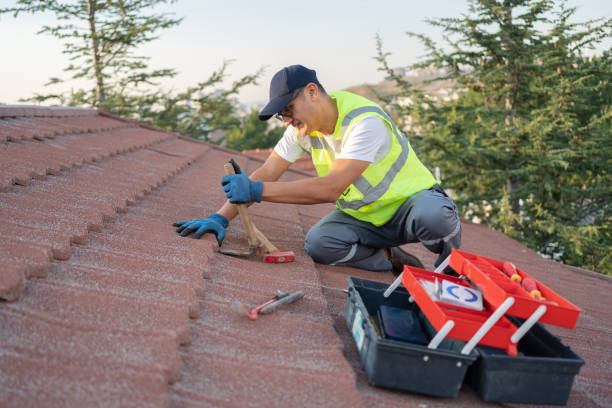 Best Sealant for Roof  in Nyon Lake, CA